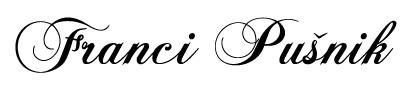 Franci Pušnik